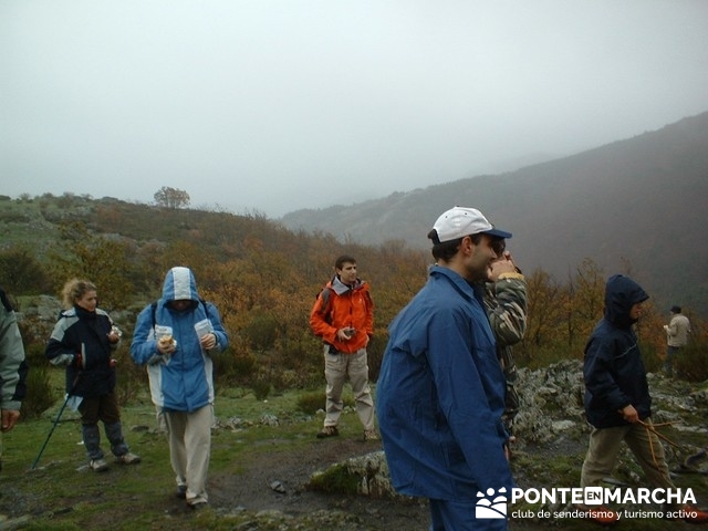 Grupos de naturaleza en Madrid